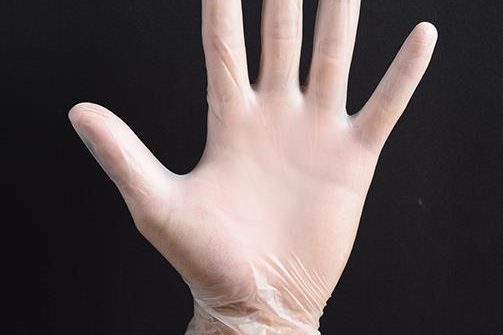 Transparent food insulated vinyl gloves (3)