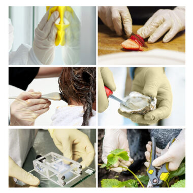 Powdered sterile latex surgical gloves